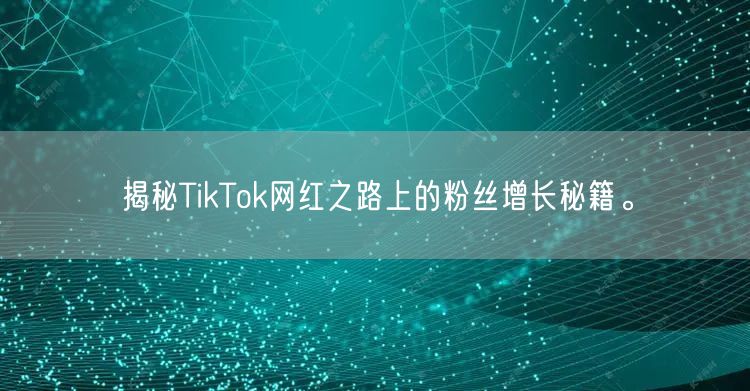 揭秘TikTok网红之路上的粉丝增长秘籍。