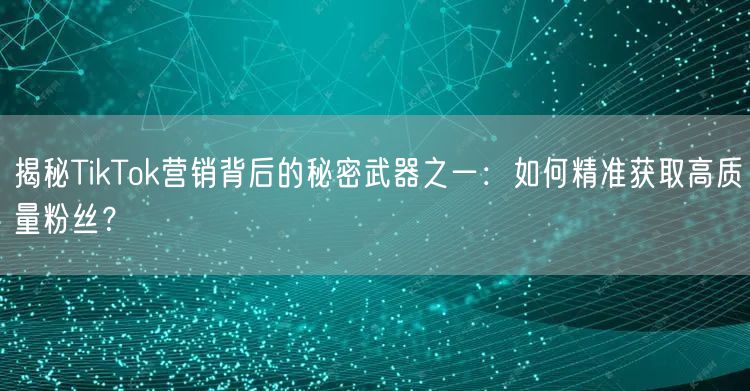 揭秘TikTok营销背后的秘密武器之一：如何精准获取高质量粉丝？