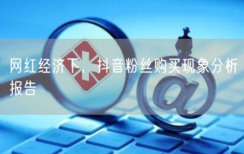网红经济下，抖音粉丝购买现象分析报告