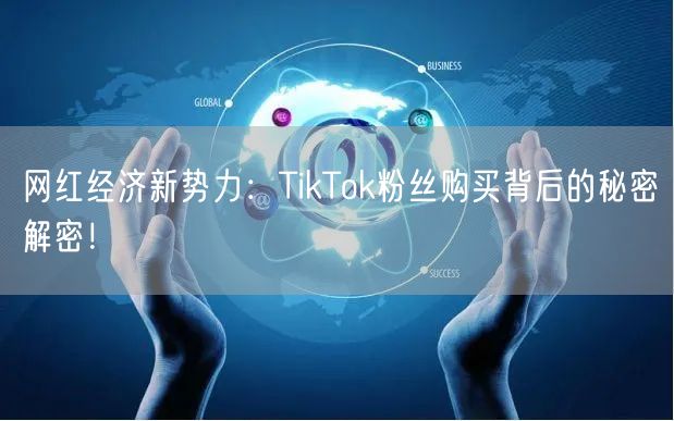 网红经济新势力：TikTok粉丝购买背后的秘密解密！