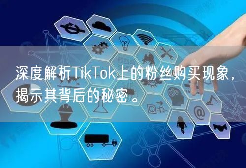 深度解析TikTok上的粉丝购买现象，揭示其背后的秘密。