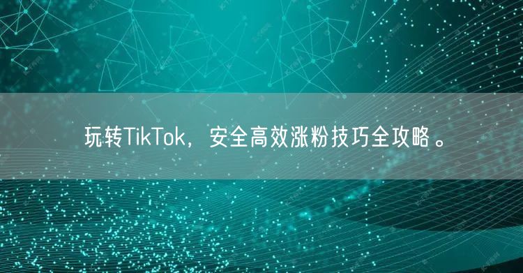 玩转TikTok，安全高效涨粉技巧全攻略。