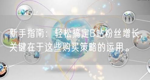 新手指南：轻松搞定B站粉丝增长，关键在于这些购买策略的运用。