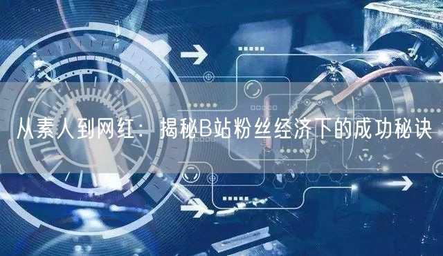 从素人到网红：揭秘B站粉丝经济下的成功秘诀