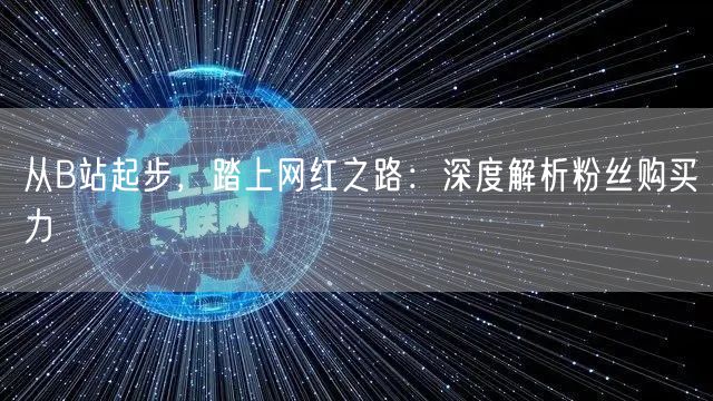 从B站起步，踏上网红之路：深度解析粉丝购买力