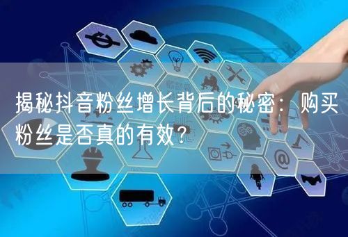 揭秘抖音粉丝增长背后的秘密：购买粉丝是否真的有效？