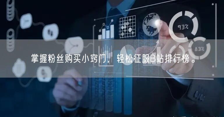 掌握粉丝购买小窍门，轻松征服B站排行榜。