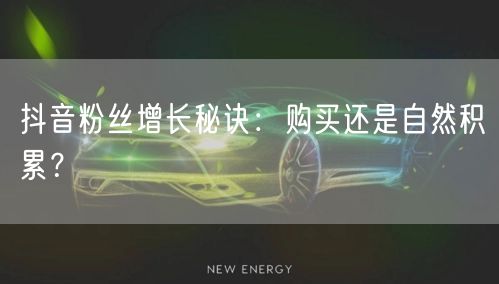 抖音粉丝增长秘诀：购买还是自然积累？