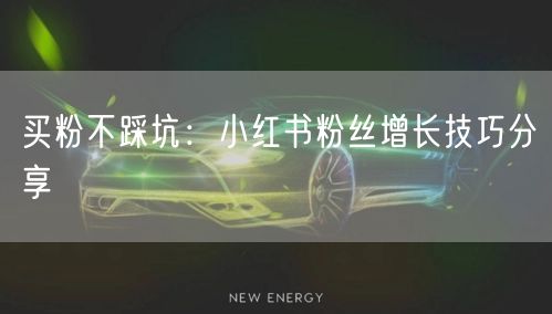 买粉不踩坑：小红书粉丝增长技巧分享