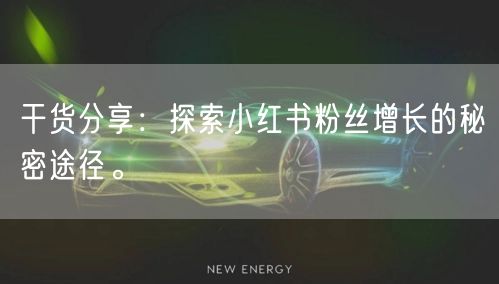 干货分享：探索小红书粉丝增长的秘密途径。