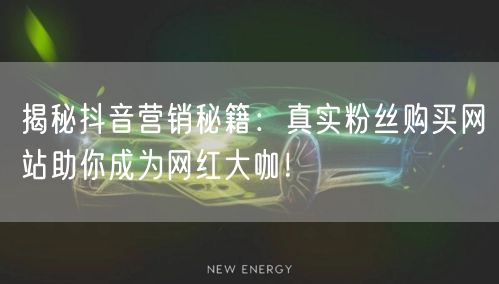 揭秘抖音营销秘籍：真实粉丝购买网站助你成为网红大咖！