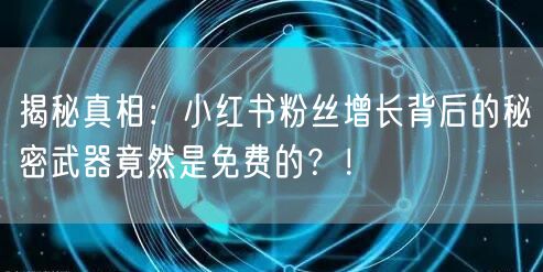 揭秘真相：小红书粉丝增长背后的秘密武器竟然是免费的？！