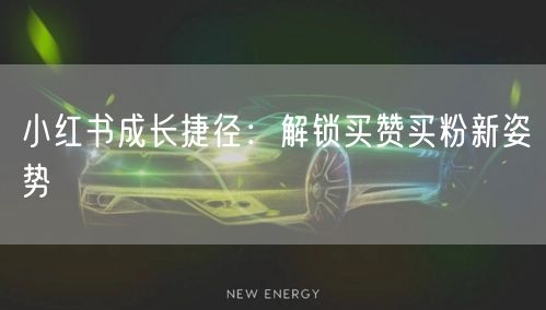 小红书成长捷径：解锁买赞买粉新姿势