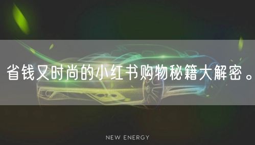 省钱又时尚的小红书购物秘籍大解密。