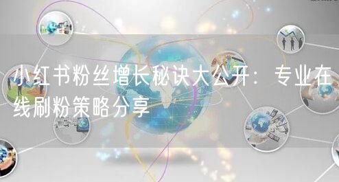 小红书粉丝增长秘诀大公开：专业在线刷粉策略分享