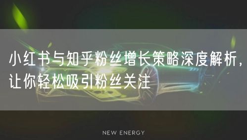 小红书与知乎粉丝增长策略深度解析，让你轻松吸引粉丝关注