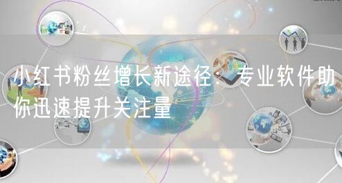小红书粉丝增长新途径：专业软件助你迅速提升关注量