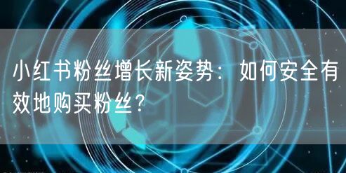 小红书粉丝增长新姿势：如何安全有效地购买粉丝？