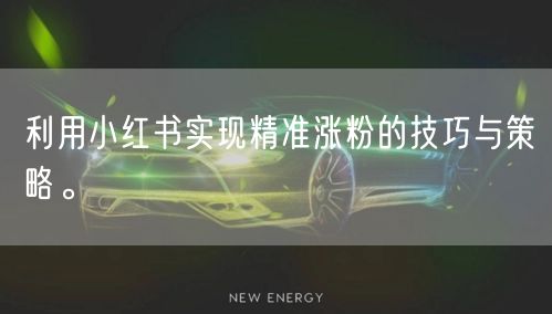 利用小红书实现精准涨粉的技巧与策略。