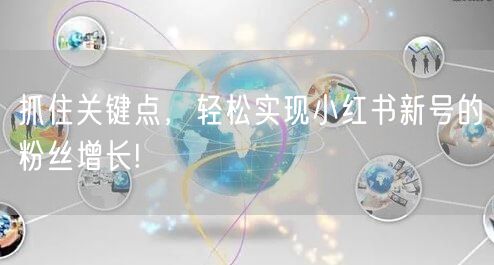 抓住关键点，轻松实现小红书新号的粉丝增长!