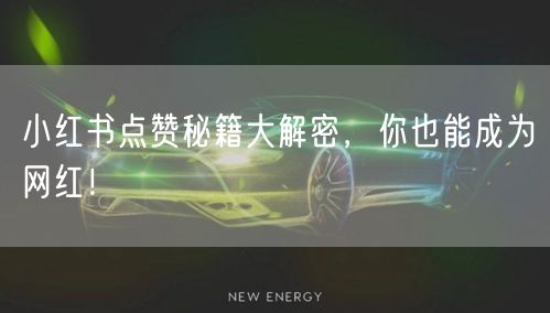 小红书点赞秘籍大解密，你也能成为网红！