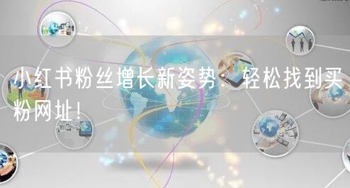 小红书粉丝增长新姿势：轻松找到买粉网址！