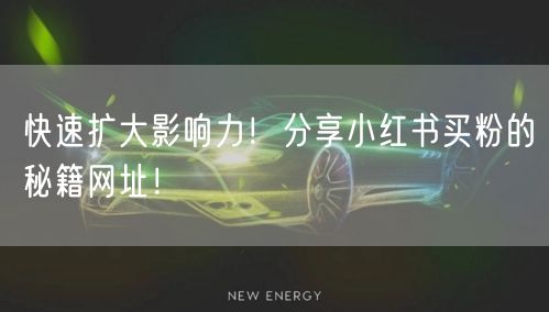 快速扩大影响力！分享小红书买粉的秘籍网址！