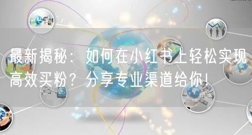 最新揭秘：如何在小红书上轻松实现高效买粉？分享专业渠道给你！