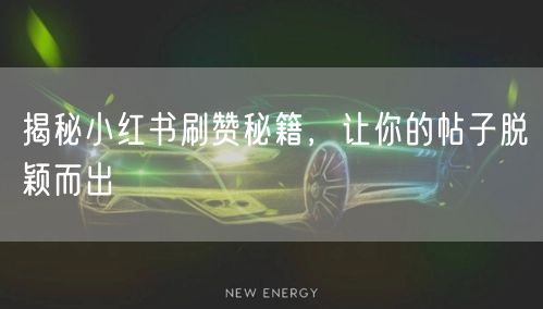 揭秘小红书刷赞秘籍，让你的帖子脱颖而出