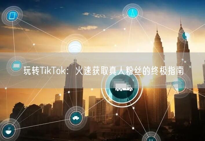 玩转TikTok：火速获取真人粉丝的终极指南