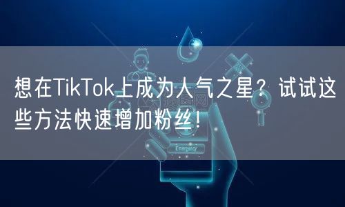 想在TikTok上成为人气之星？试试这些方法快速增加粉丝！